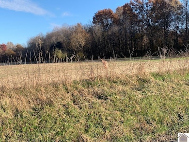 000 Gholson Rd, West Paducah, KY 42086 - photo 2