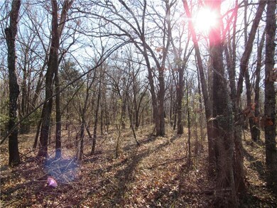 TBD LOT 4 Highway 43, Siloam Springs, AR 72761 - photo 7