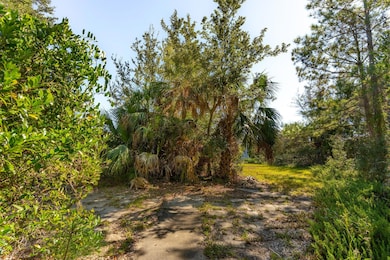 3019 Ion Ave, Sullivans Island, SC 29482 - photo 4