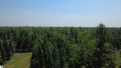 Off of Gallagher Rd, West Branch, MI 48661 - photo 6