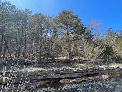 194 Table Rock Dr, Holiday Island, AR 72631 - photo 7