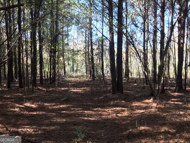 0 Hall Memorial Rd NW unit 9595, Calhoun, GA 30701 - photo 6