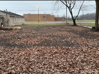 0 Briggs Rd, Columbus, OH 43223 - photo 3