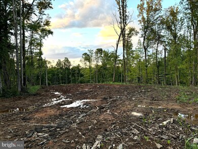 0 Mountain Ridge Way unit VACU2008546, Culpeper, VA 22701 - photo 2