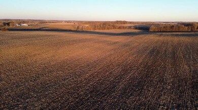 TBD 211th Ave, Le Center, MN 56058 - photo 7