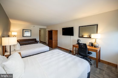 290 Marsh Hill Rd unit 319C, Mc Henry, MD 21541 - photo 6