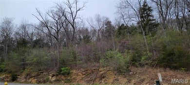 600 N High Post Rd, Augusta, MO 63332 - photo 6