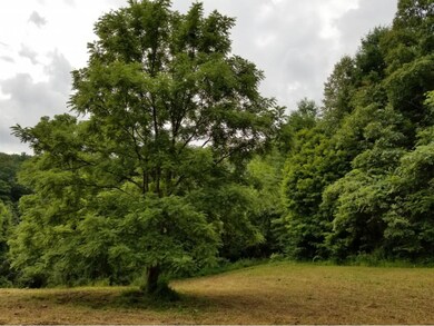 Scenic View