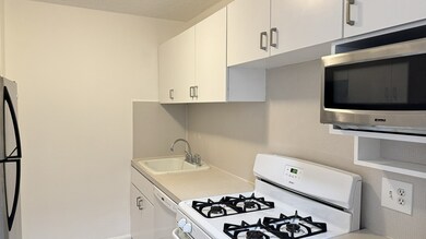 The Brook House unit 303, Brookline, MA 02445 - photo 7