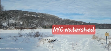 448-1 South St, Windham, NY 12496 - photo 4