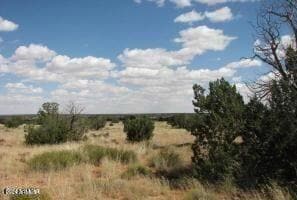 Sec 19 T15n R16e --, Heber, AZ 85928 - photo 2