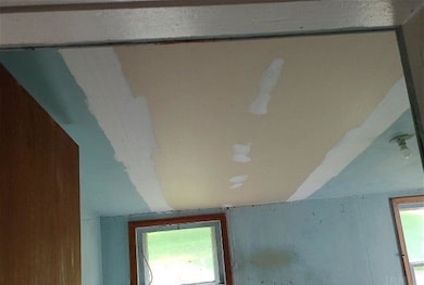 110 W Lithia St, Attica, IN 47918 - photo 6