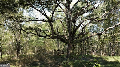 0 Holiness Campground Rd unit 10648171, Cleveland, GA 30528 - photo 2