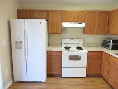 10031 Perthshire Cir, Land O Lakes, FL 34638 - photo 7