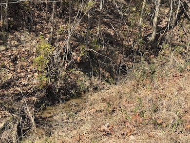 0 Whitehorn Rd unit 709692, Bulls Gap, TN 37711 - photo 5