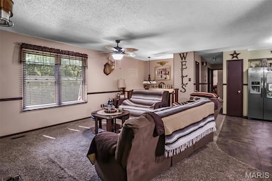 9756 Robyn Ct, Bonne Terre, MO 63628 - photo 5