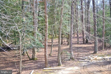 85 Kendle Ave, Franklinville, NJ 08322 - photo 6