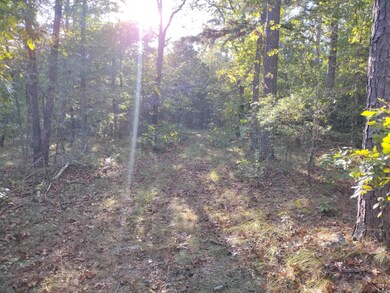 0 Arrowhead Rd, Mountain View, AR 72560 - photo 5