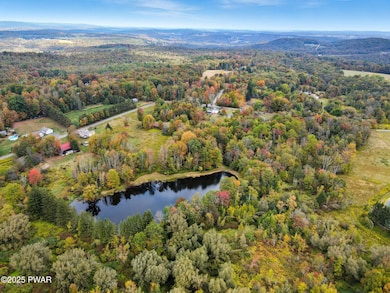 100 Spring Hill Rd, Moscow, PA 18444 - photo 4