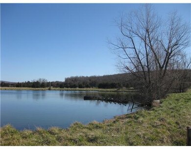 60.36 Acre Stokenbury Rd, Elkins, AR 72727 - photo 6