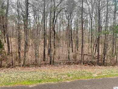 0 Tremont Dr, Ruston, LA 71270 - photo 2