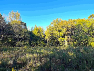 1705 Good Springs Loop, Williston, TN 38076 - photo 6