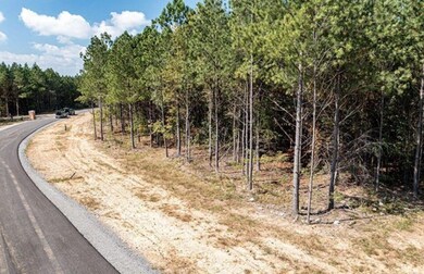 0 Waterwheel Way unit 1500202, Jasper, TN 37347 - photo 6