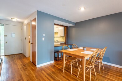 6 Webster Ct, Amherst, MA 01002 - photo 7