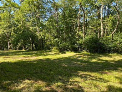 0 Township Rd 539 unit 221021120, Loudonville, OH 44842 - photo 6