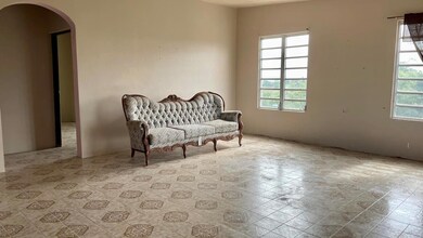 Carr. 902 Quebrada Arenas, San Lorenzo, PR 00754 - photo 4