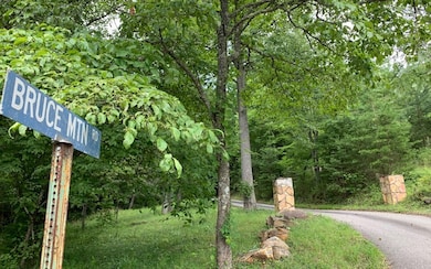 Additional View