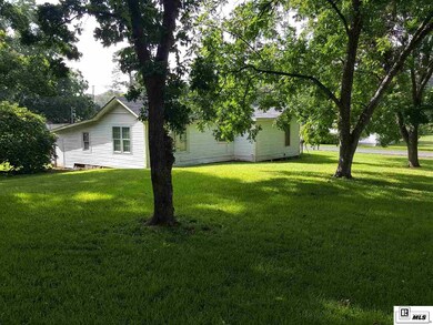 Large trees give plenty of shade to the back yard.
