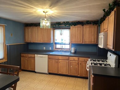 9 Marie St, Ludlow, MA 01056 - photo 3