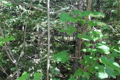 trees