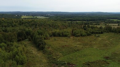 DJI_0322