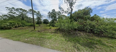 View of undeveloped yard