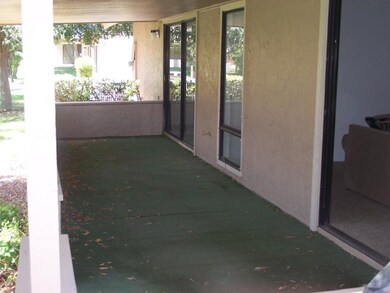 Back Patio