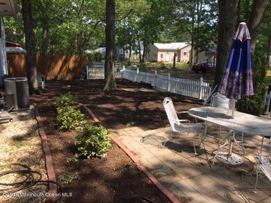 Patio & Fence