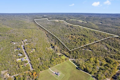 000 Wolf, Walnut Shade, MO 65771 - photo 4