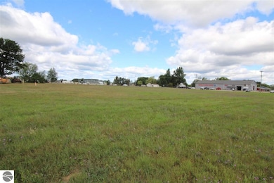 Parcel A Plett Rd, Cadillac, MI 49601 - photo 4