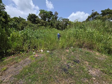 0 Carr-137 unit MFRPR9115625, Morovis, PR 00687 - photo 2