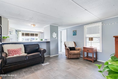 101 Catahoula Rd, Carencro, LA 70520 - photo 5