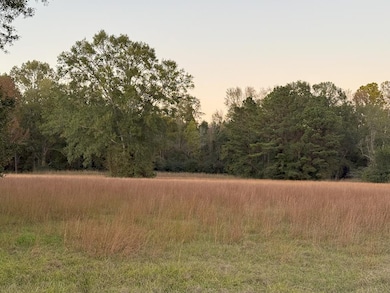 225 Frost Ln, Bude, MS 39630 - photo 2