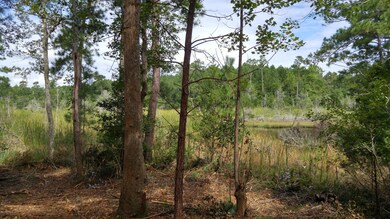 102 Calcos Ct, Stump Sound, NC 28445 - photo 5