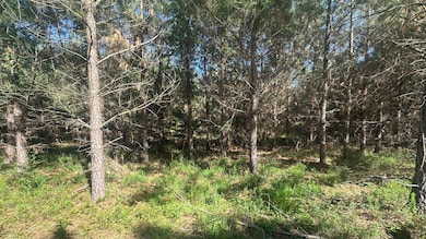 0 Dorsey Clark Rd unit 23736139, Sylvania, GA 30467 - photo 6