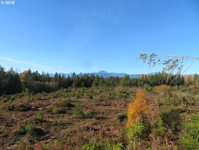 0 Wayne Rd W unit 3 18654977, Seabeck, WA 98380 - photo 3