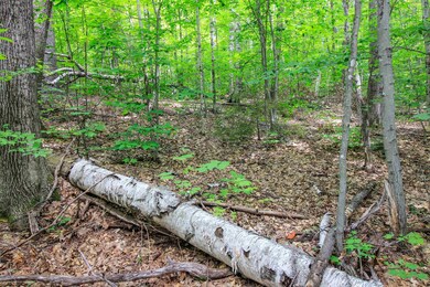 Lot H-15 Tobey, Campton, NH 03223 - photo 5