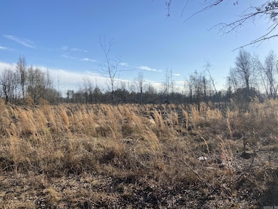 0 Ozan A unit 24032571, Ozan, AR 71855 - photo 2