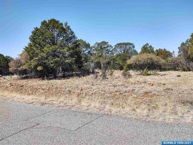 0 Fotis Rd, Silver City, NM 88061 - photo 5