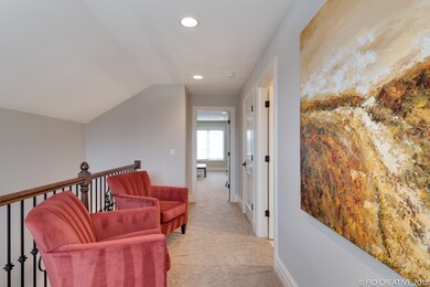 247 N Indiana St, Elmhurst, IL 60126 - photo 4